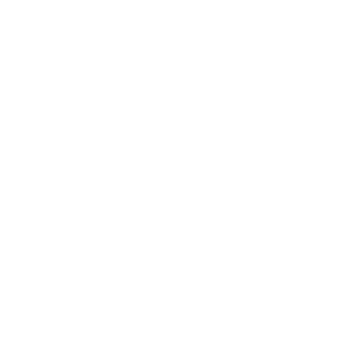Global network