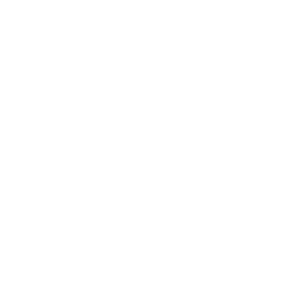 Rover