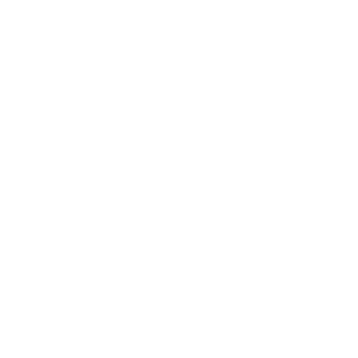 Solidarity